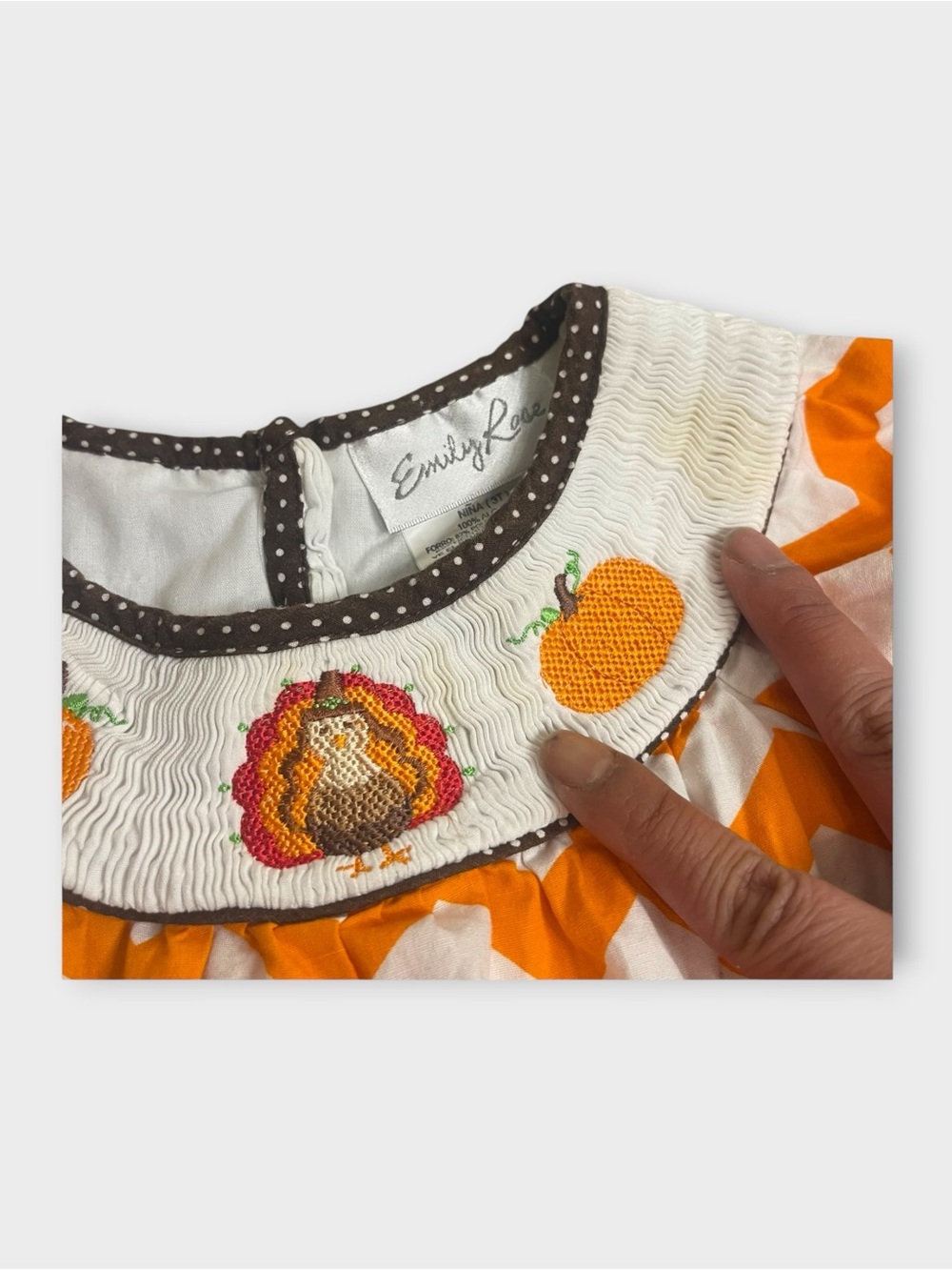 Emily Rose Fall Pumpkin Chevron Turkey Pattern Smocked Dress - Picture 2 of 4